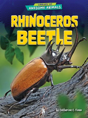cover image of Rhinoceros Beetle